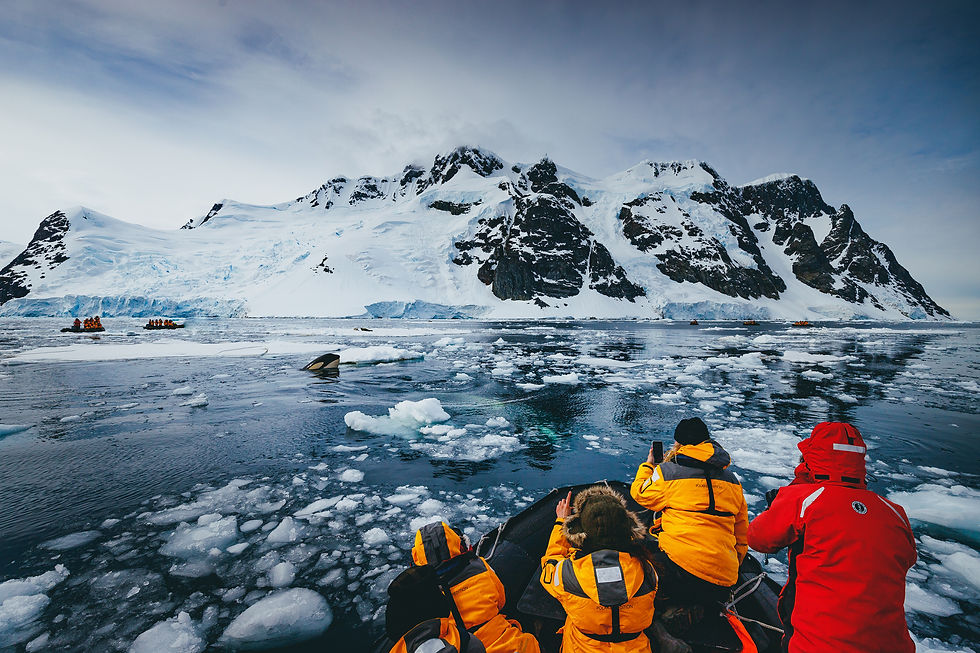 Travellers in a Zodiac taking photos of a whale in Antarctica
