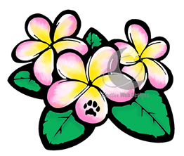 Karr Creations Logo
