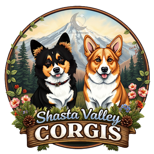 Shasta Valley Corgis Logo