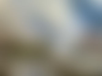 Merry Christmas & A Happy New Year from Barrow Society of Artists!