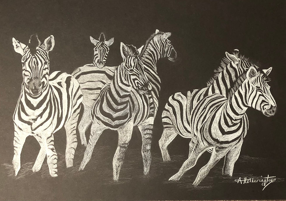 Art by Amanda Hetherington Seeing Stripes