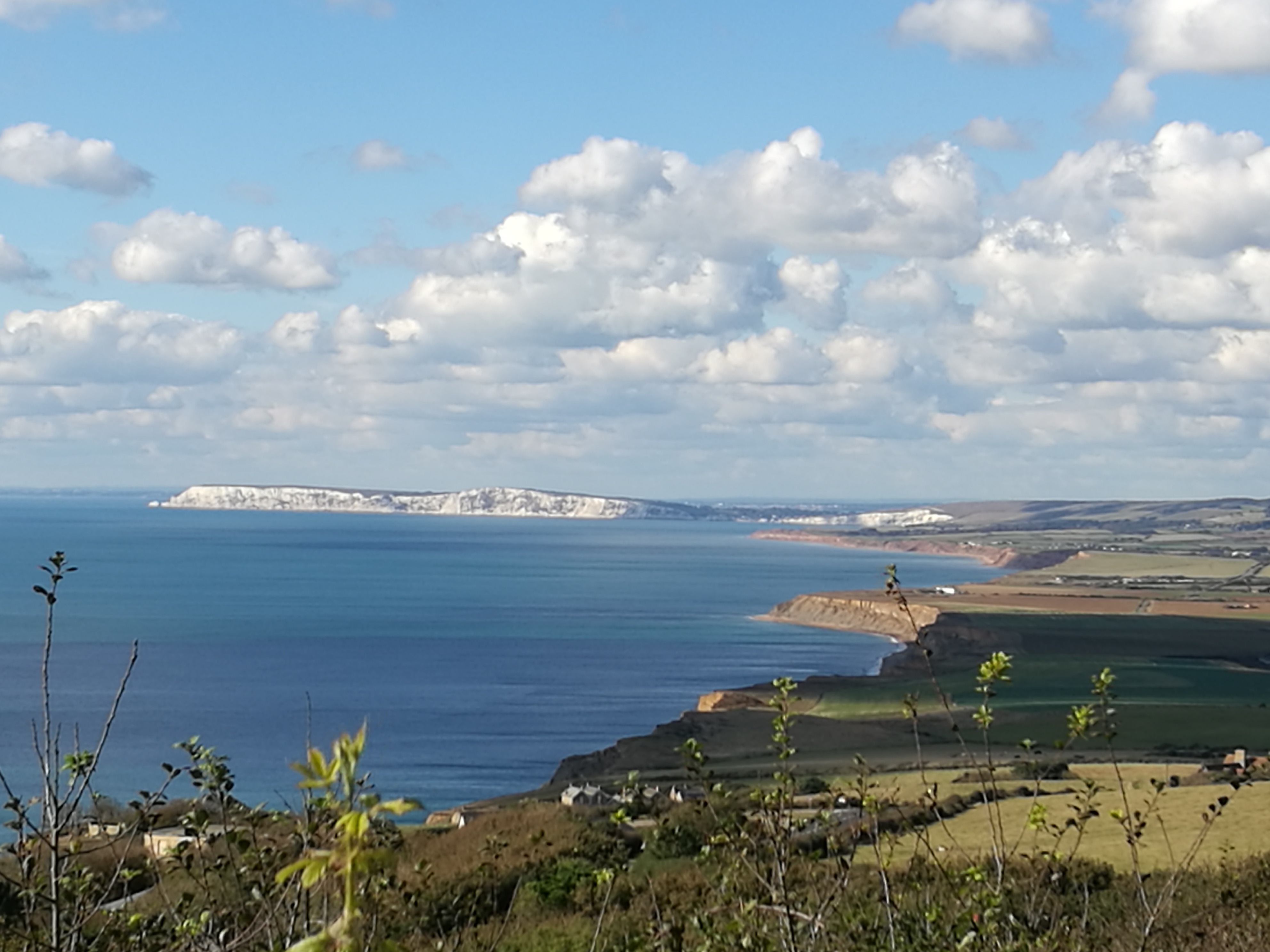 South Wight