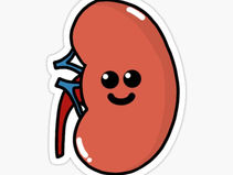 Happy Kidney cancer awareness month