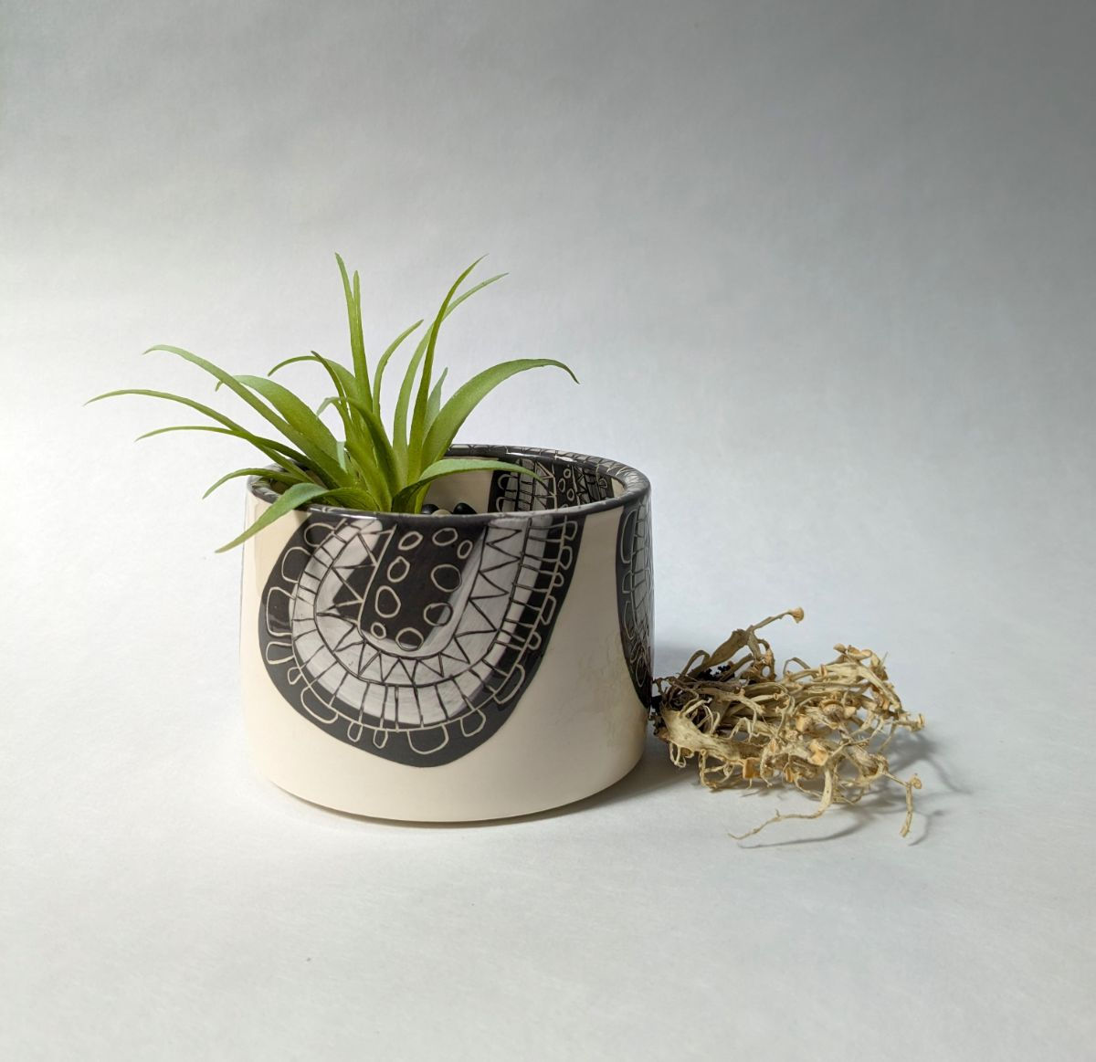 Black & White Sgraffito Cell Pot
