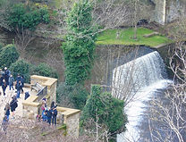 Waterfall at Millers Row