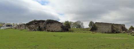 Cousland Castle