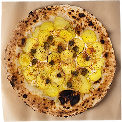 pizzas - sour cream (website).png