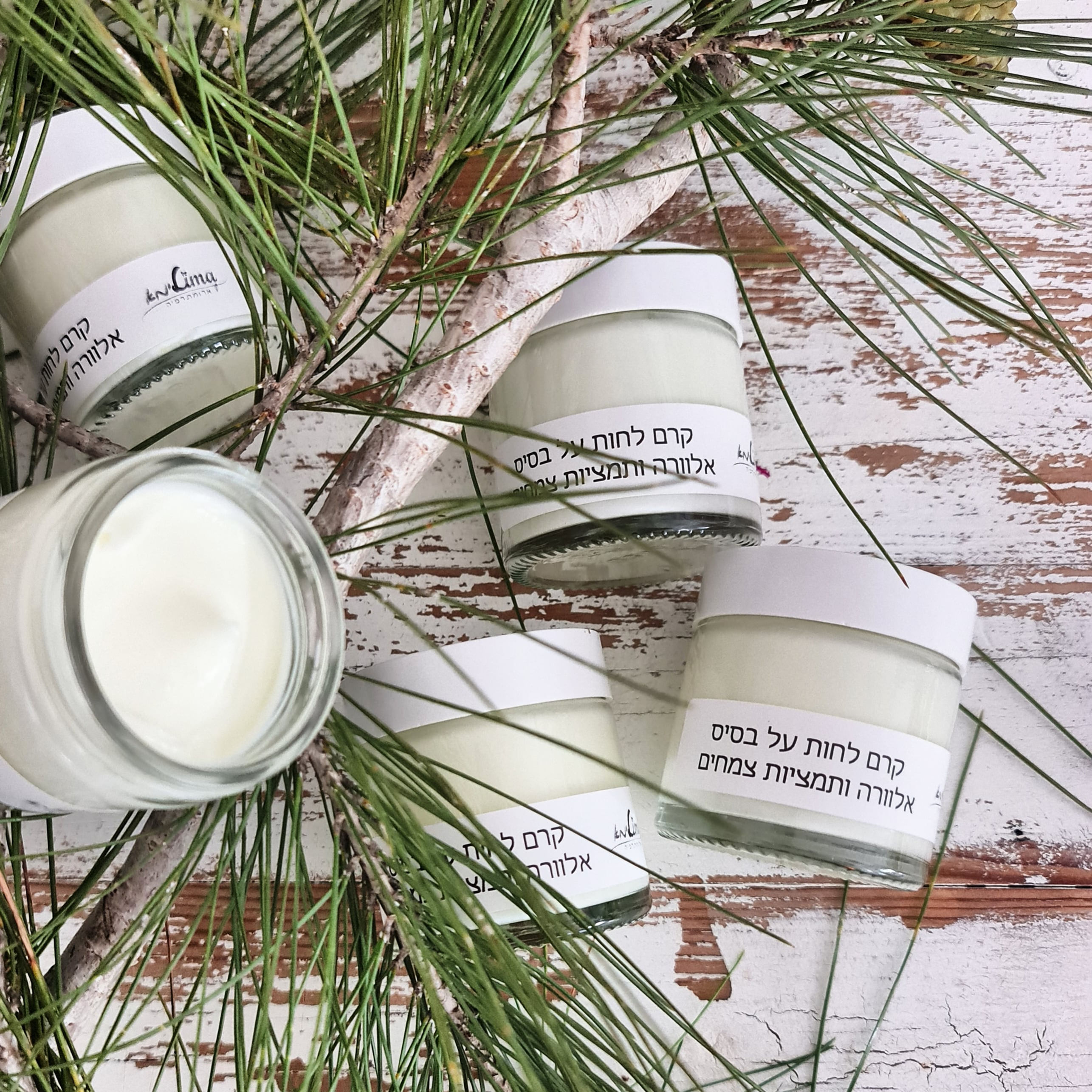 קרם פנים טיפולי אלוורה ותמציות צמחים לעור פנים צעיר שמן או עם נטייה לפצעים ואקנה