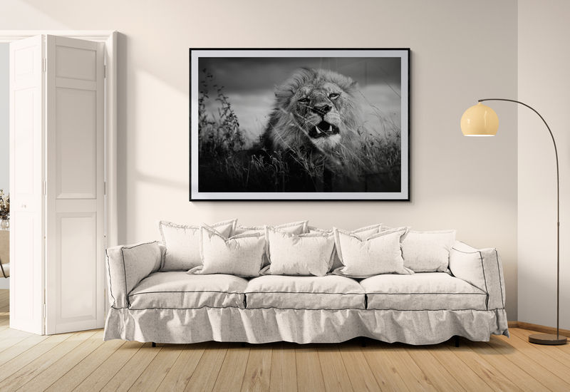 A black and white lion print hanging on a wall
