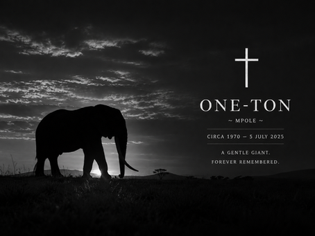 one-ton obituary