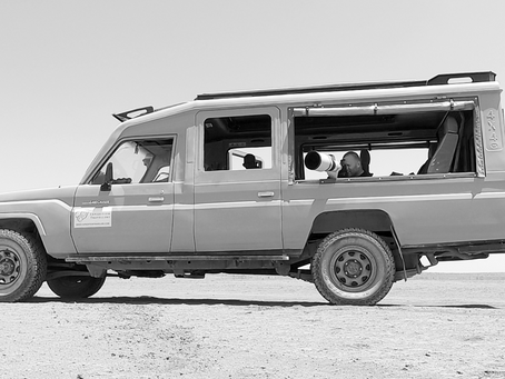 Image of a safari vehicle