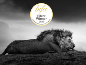 The Dreamer Wins Silver at the Budapest International Foto Awards