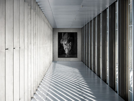 print of lioness at the end of a long corridor.