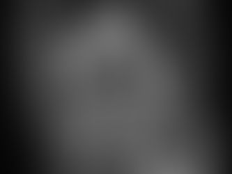 A large bengal tiger