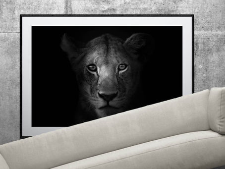 A fine art wildlife print on the wall but the room is so small that the sofas is wedged in