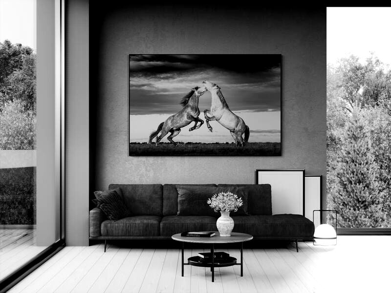 Large scale black and white animal photograph the wall.