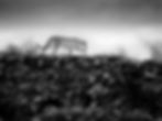 Leopard on a ridge in the Kalahari