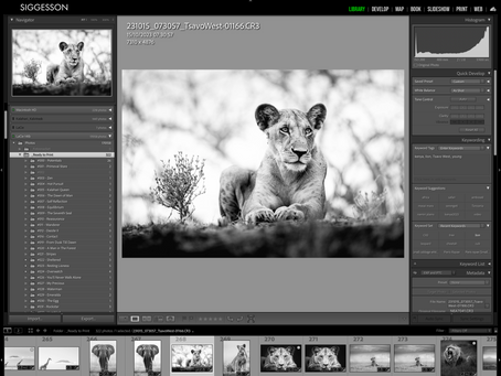 Screenshot of Lightroom when working with a black and white image