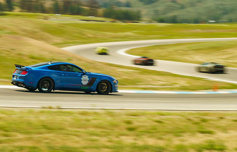 VIP Denver Car Experience