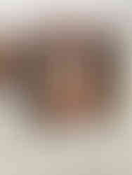 Vanessa's bedroom window