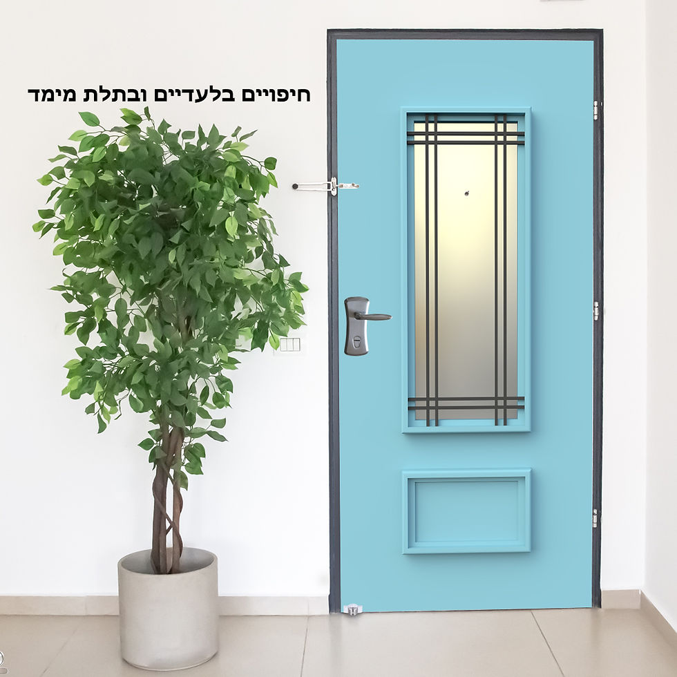 תמונה ממוזערת: DV652-    חיפוי דגם