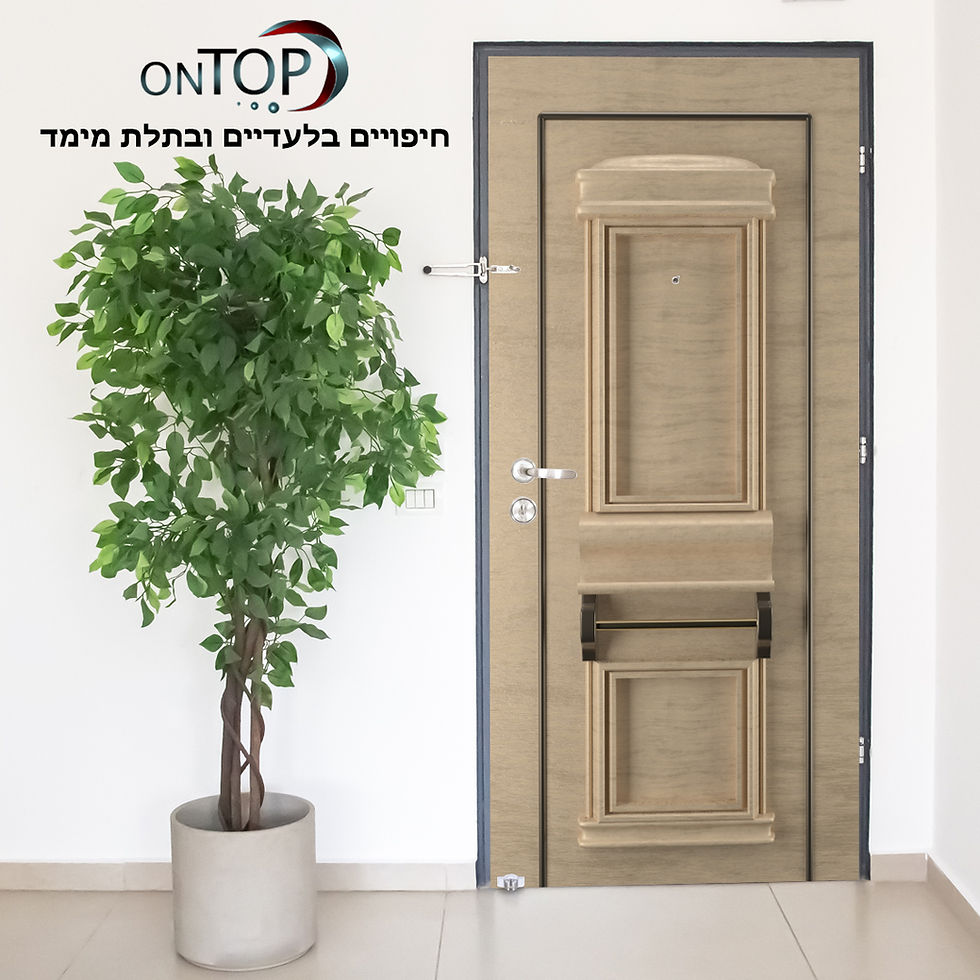 תמונה ממוזערת: G1251-    חיפוי דגם
