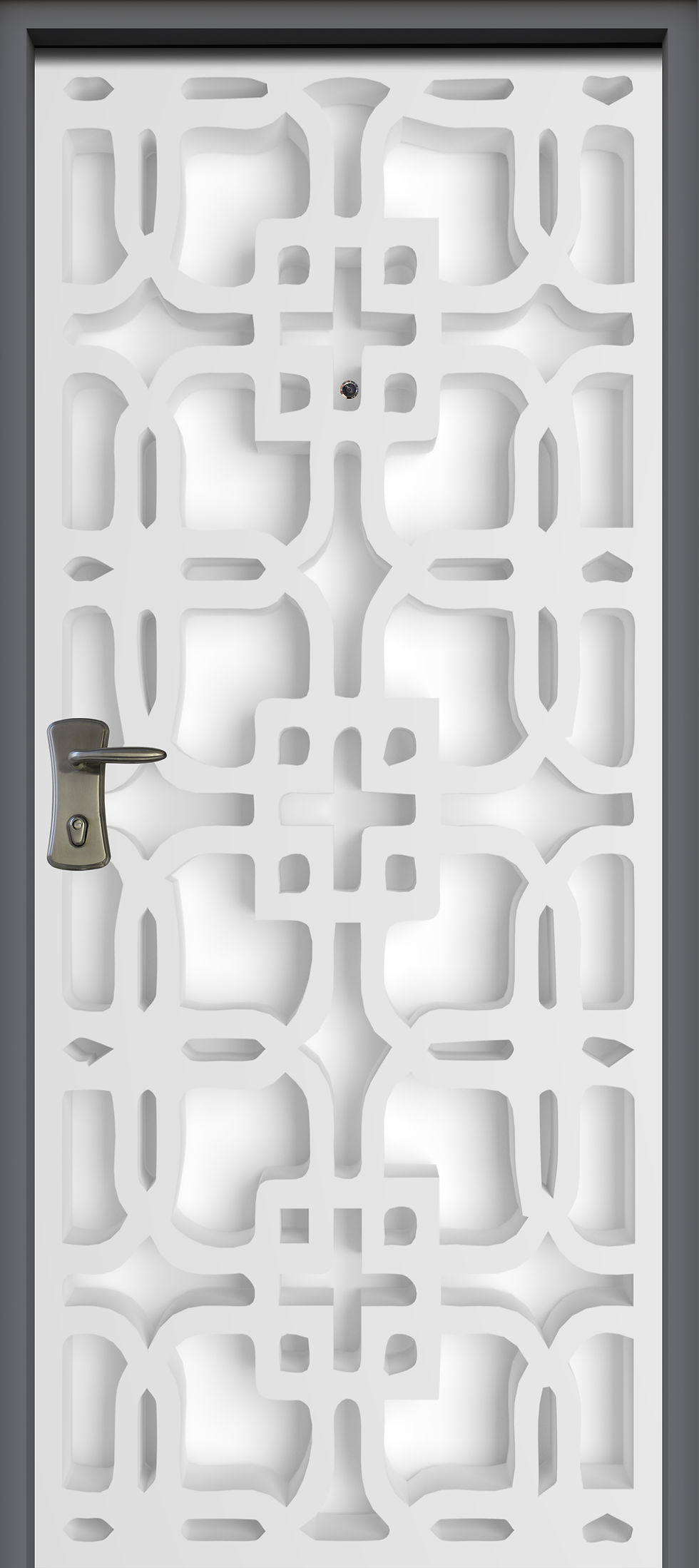 TD1201- חיפוי דגם