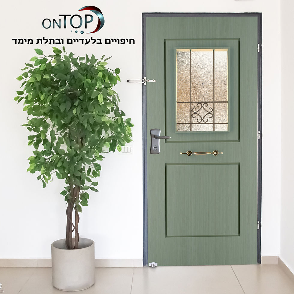 תמונה ממוזערת: C806-    חיפוי דגם