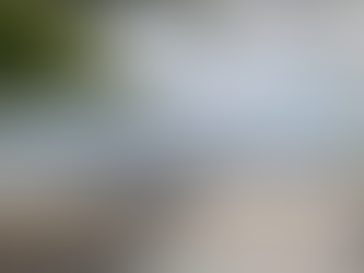 Councillor Kelly's Statement on Access and Public Use of Constance Bay Beach