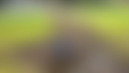 Councillor Kelly's Updates on Dry or Compromised Private Wells In Ward 5