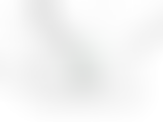 Construction Note: Upcoming Road Closure and Tree Removal on Carp Road 