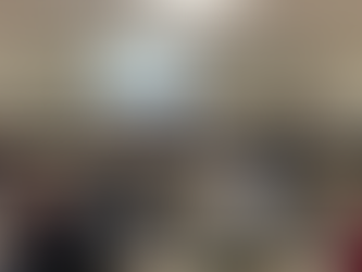 Full Report From Councillor Kelly's Village of Carp Town Hall Meeting