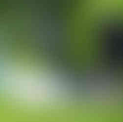 Planning your wedding