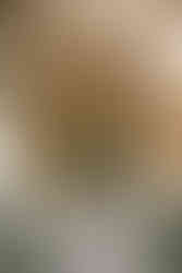 Wedding planner South Wales