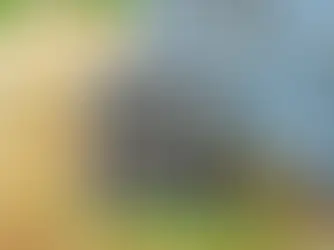 What If Your AC Dies Right Before a Long Weekend?