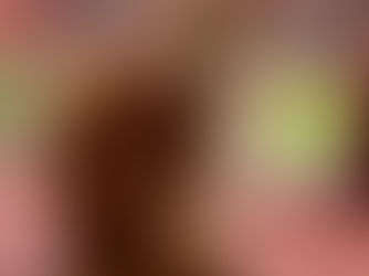 Cattery Closed 22/2 until 8/3