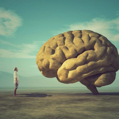 How modern stress rewires the brain (and how hypnotherapy breaks the cycle)?