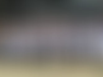 Formation DIF national