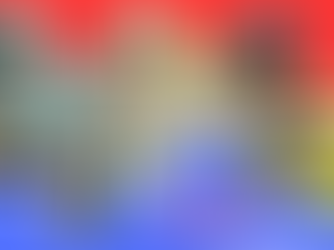 Organisation du stage d'été 2026