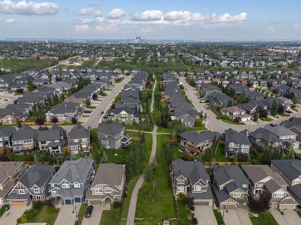 What Should a Community Tree Maintenance Plan Include in Calgary?