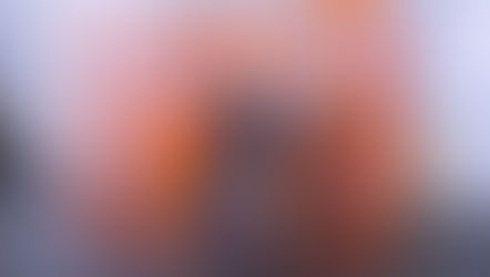 How Much Does a Driver Cage Cost in Western Canada?