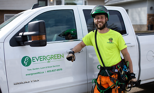 Evergreen LTD (1).png