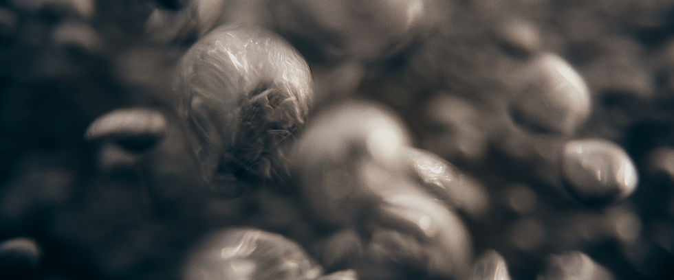 bubbles-4