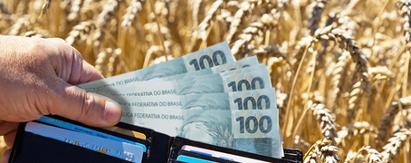 APOSTE NA ANÁLISE DE CRÉDITO ANTES DE EFETUAR UMA VENDA DE INSUMOS AGRÍCOLAS