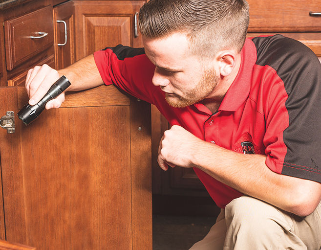 Safe House Property Inspections