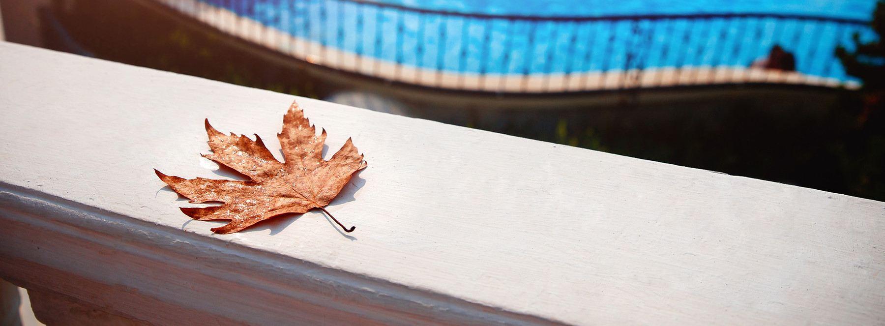 Professional Pool Closing and Winterizing Service in Virginia Beach and Hampton Roads