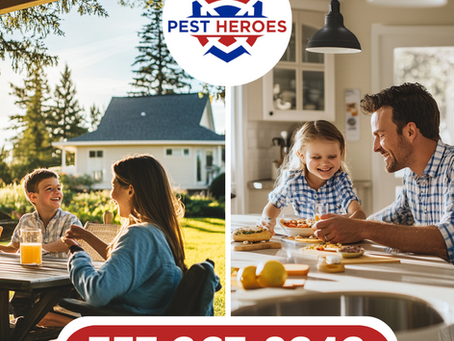 Why Quarterly Pest Control is a Must Have for Hampton Roads Homeowners