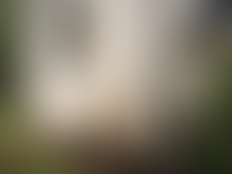 EIFS synthetic stucco exterior on a Hampton Roads home showing cracking and moisture intrusion risk areas