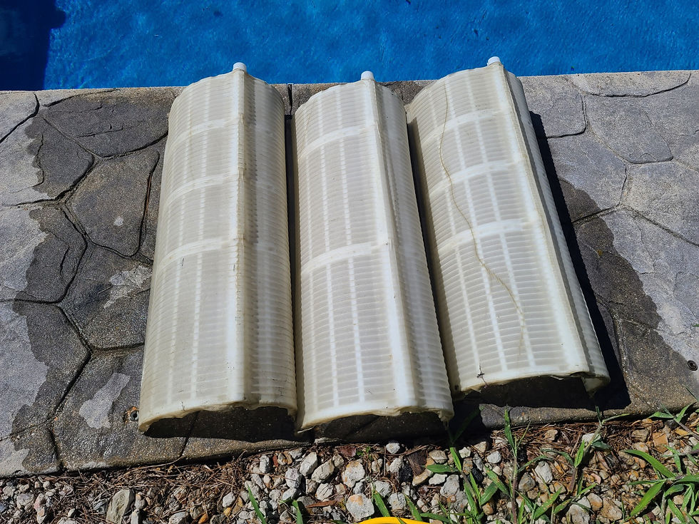 DE Filter cleaning in Virginia Beach
