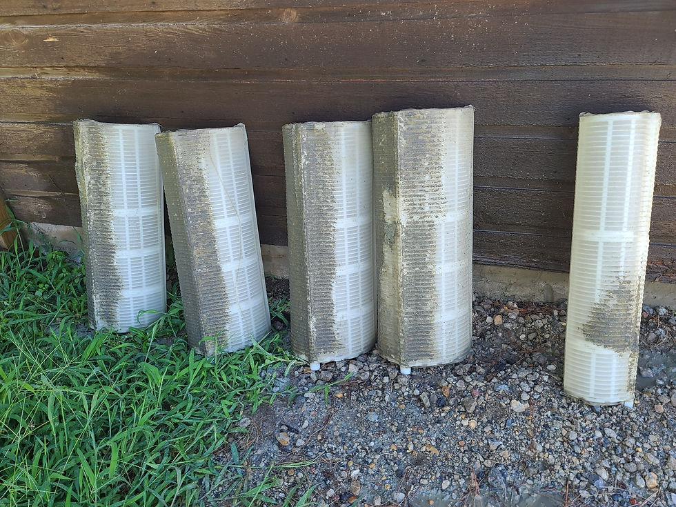 DE Filter cleaning in Virginia Beach